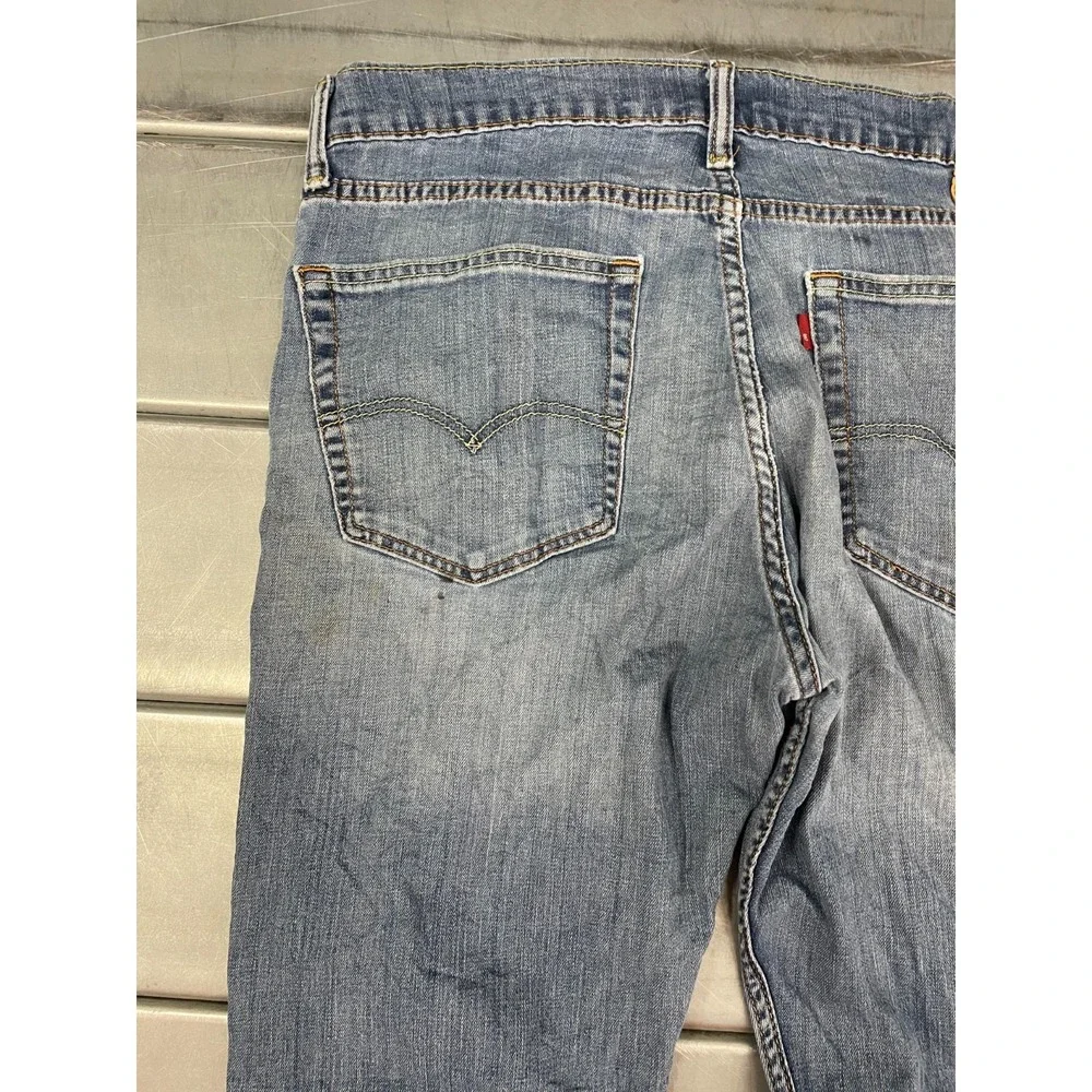 Levis levis 527